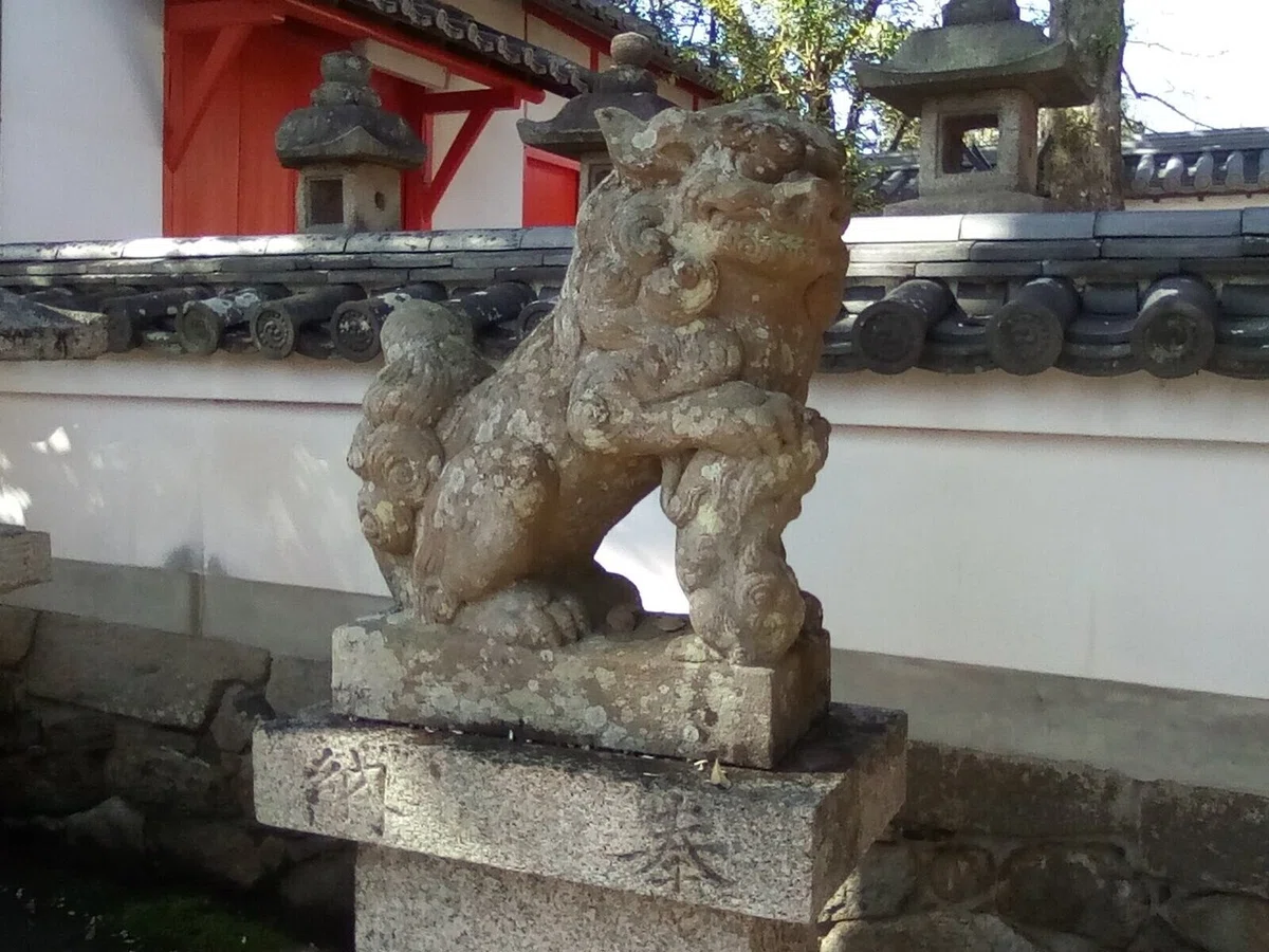 画像12