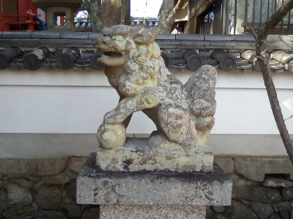 画像13
