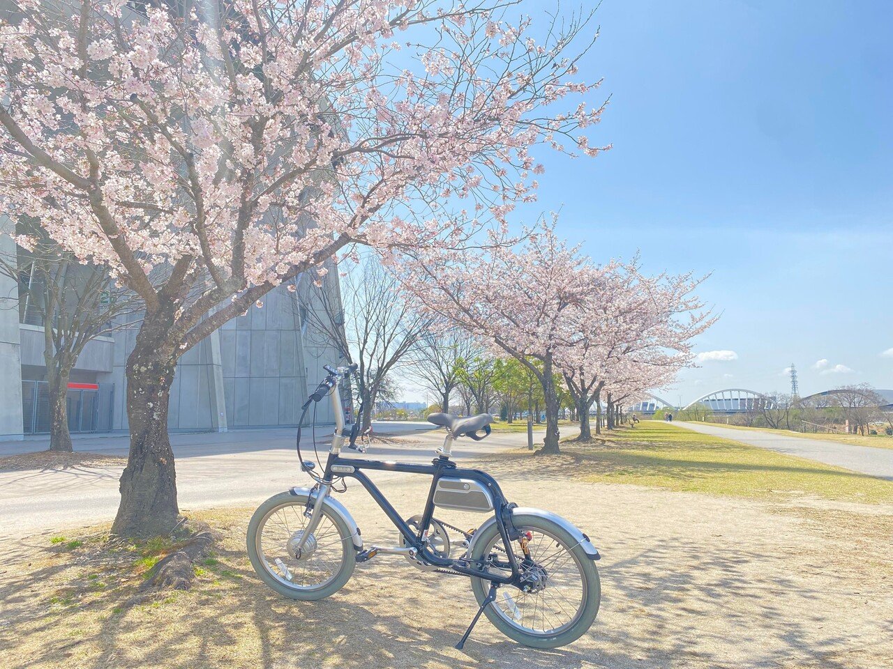 レンタサイクル お花見におすすめ豊田市の桜スポット巡り いぬかいしおり Note