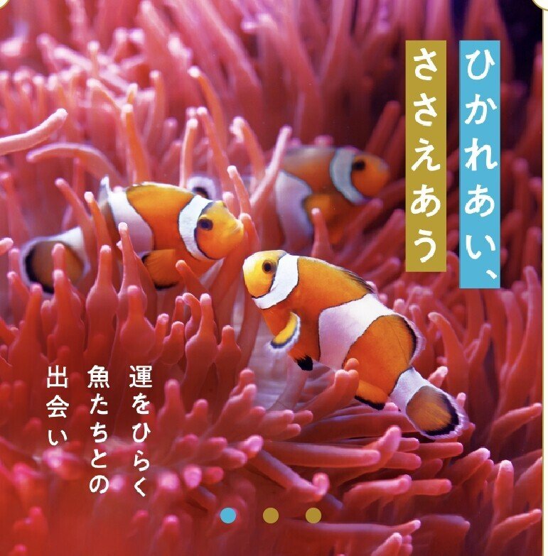 開運水族館「フォーチュンアクアリウム」で開運されてきた
