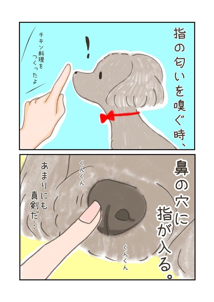 ‪犬って食べ物の匂いを嗅ぐ時、右の鼻の穴から嗅ぐらしいよ。‬