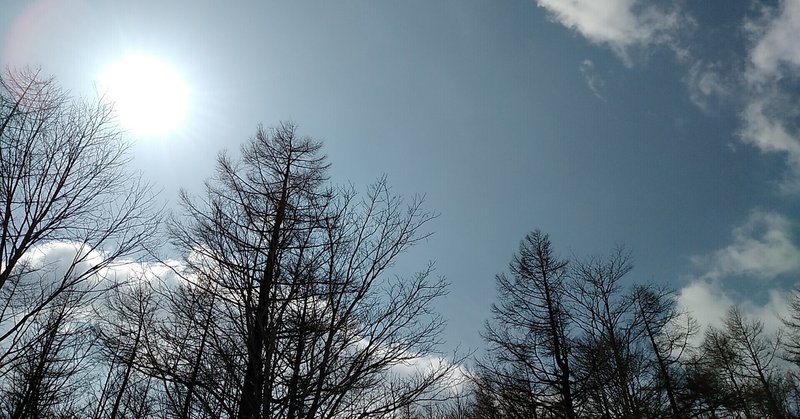 鳴くよ鶯、春の山