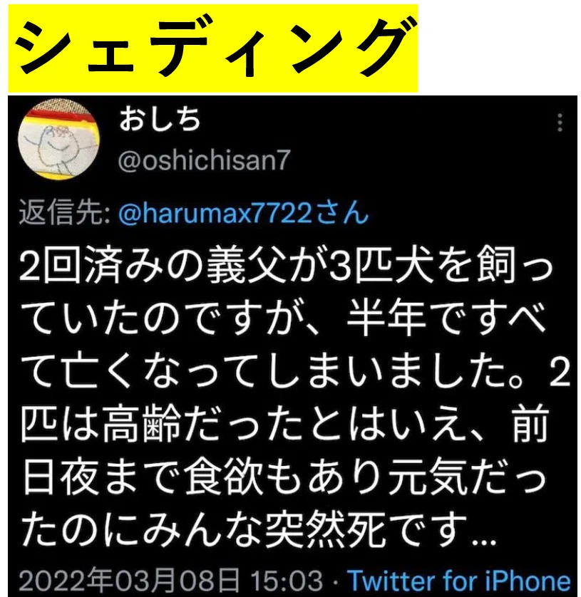 スクリーンショット (5332)