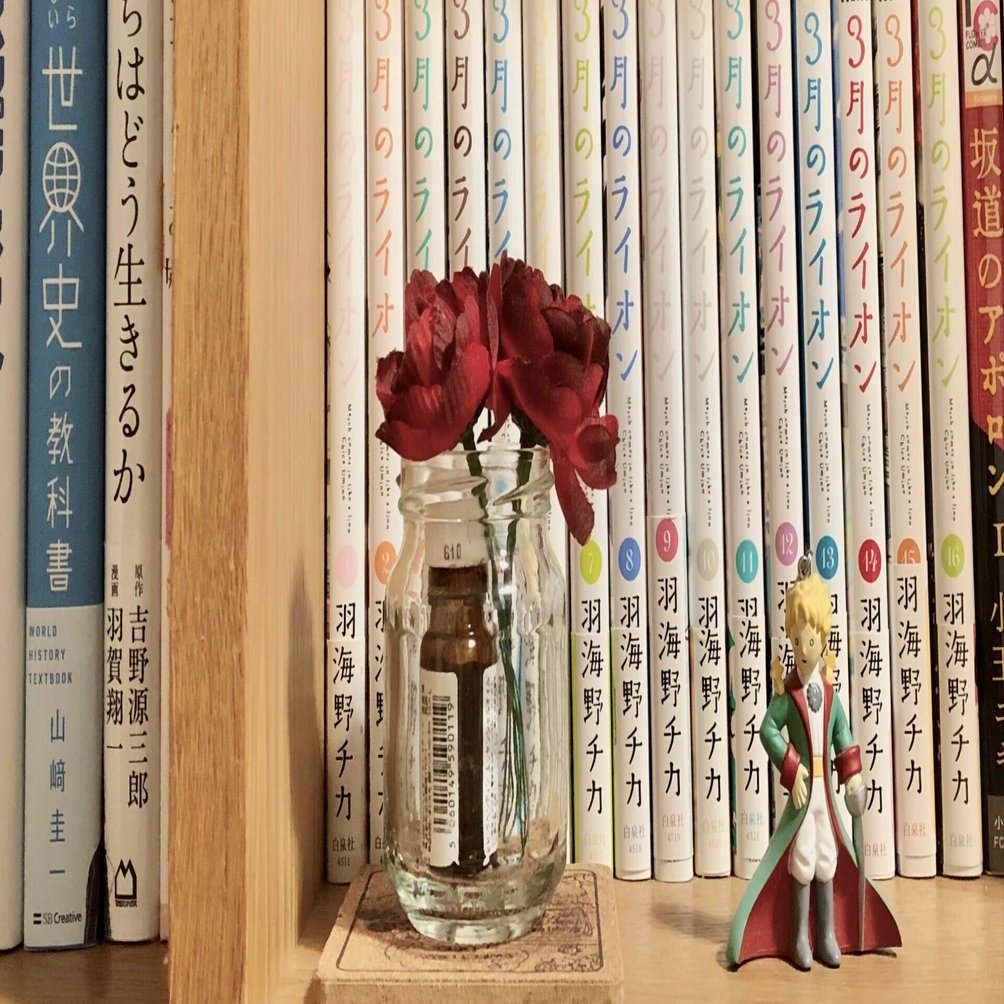 ⚠️11月16日で処分します⚠️ 本棚 小島工芸 書棚「ニューオファー NOF-60 オープン」幅60cm 全4色