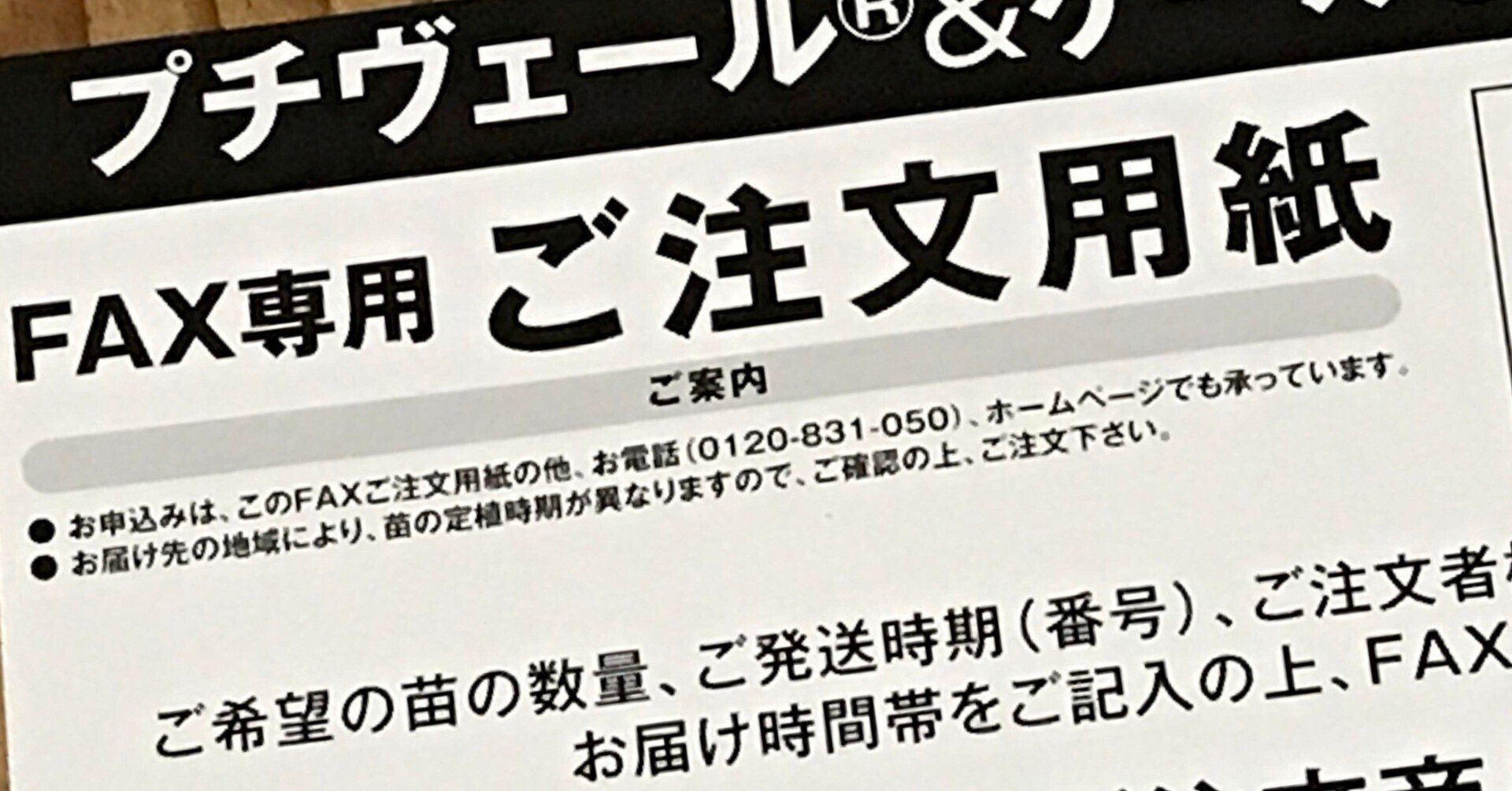 収穫中に次の苗の注文 プチヴェール 那須高原こたろうファーム Note