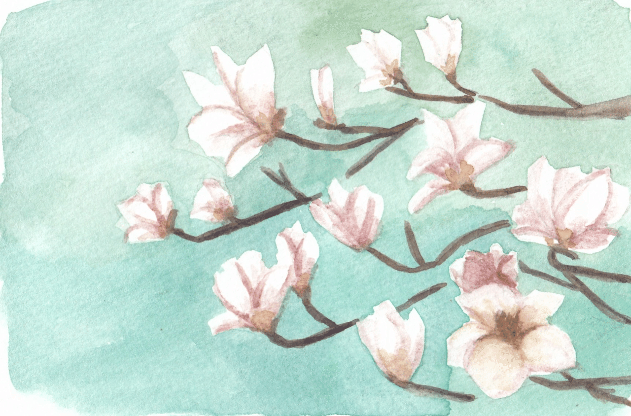 春の花の練習絵 Pitchpotch Note