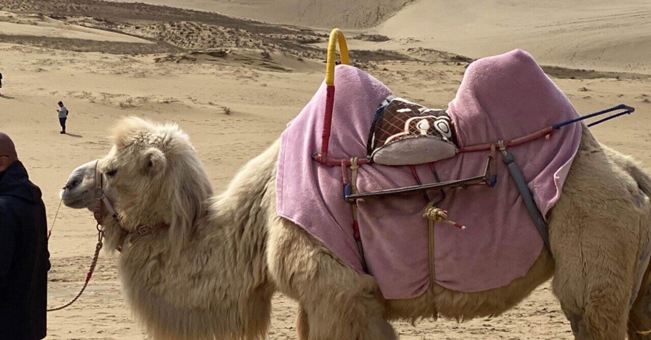 国内旅 3月 鳥取 島根3泊4日4日目 Mmvillage 旅 Note 国内旅 3月 鳥取 島根3泊4日4日目 Mmvillage 旅 Note