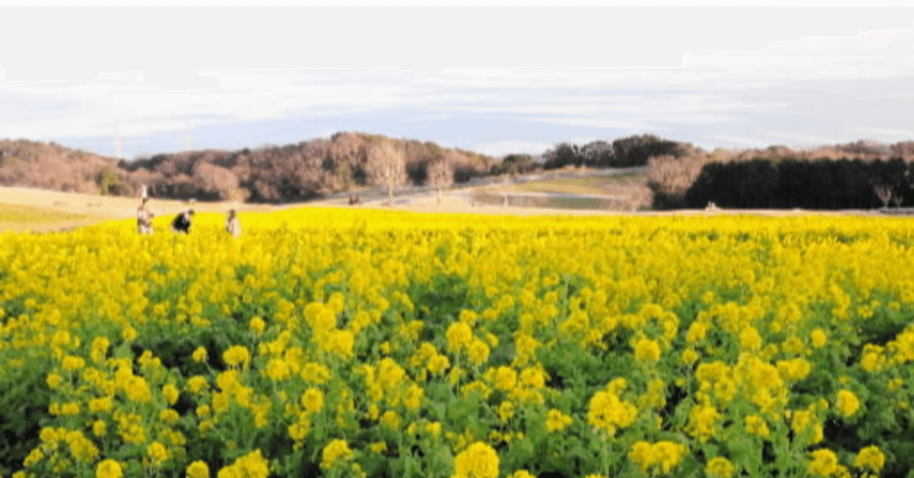 朝ドラ に描かれた兵庫県 舞台やロケ地がこんなにあります 神戸新聞公式 うっとこ兵庫