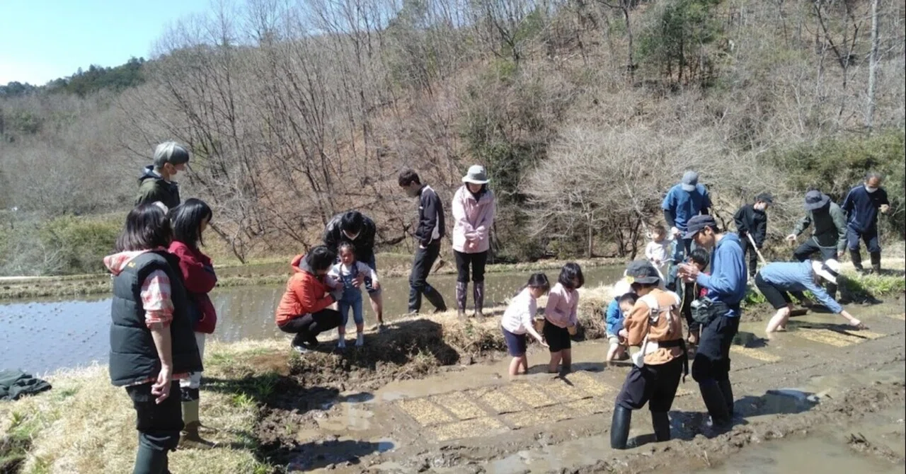 4/2 Rice Sowing｜月noco