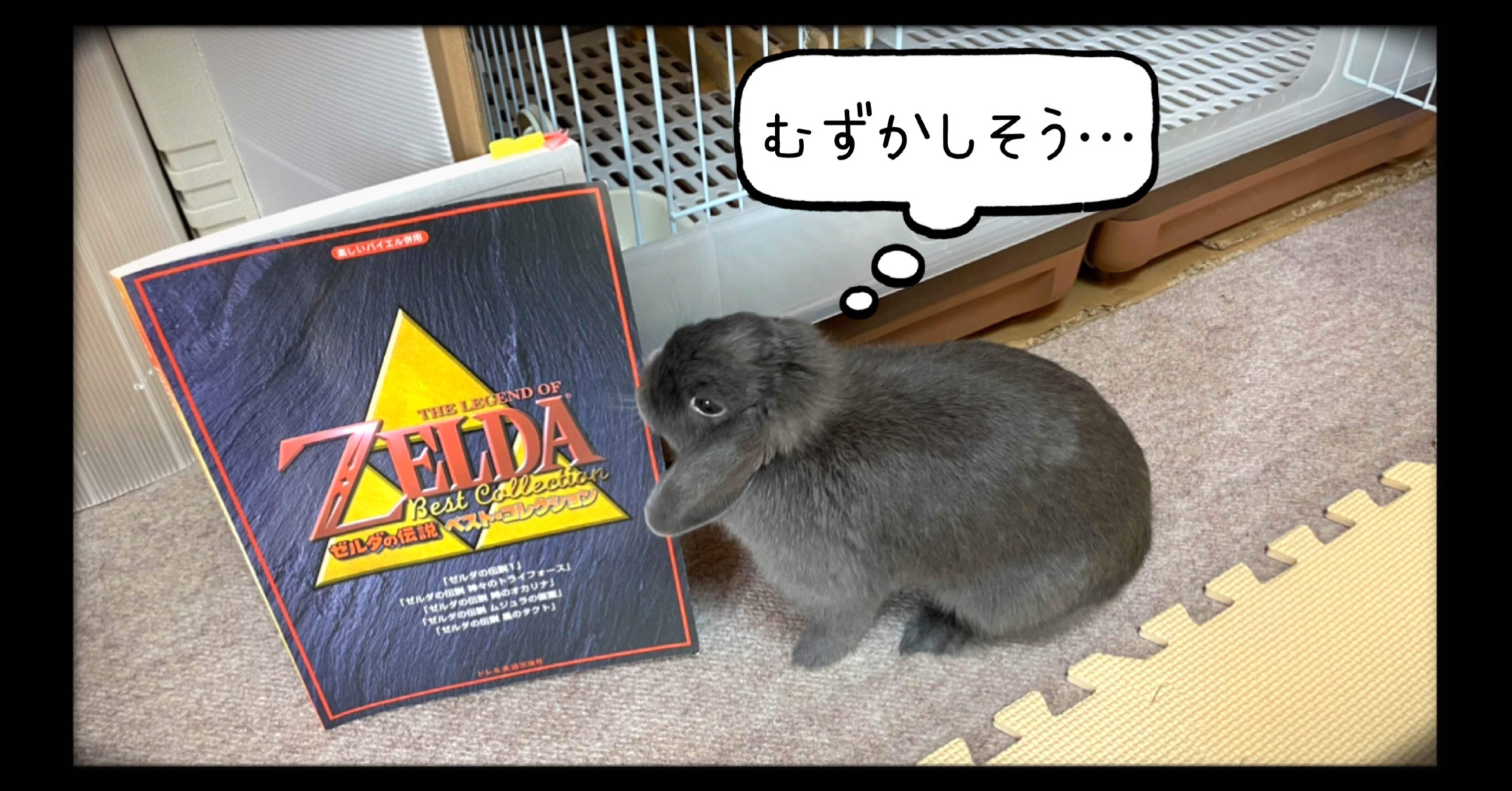 積みゲーならぬ、詰み楽譜『ゼルダの伝説 ベスト・コレクション』｜げ