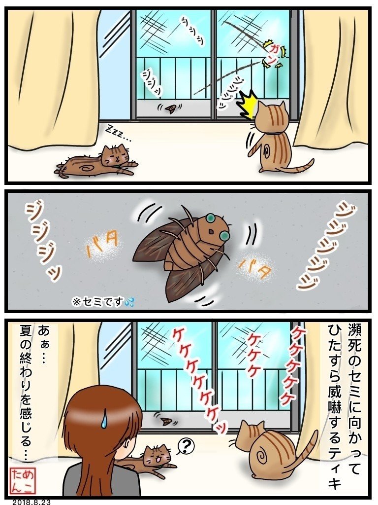 セミファイナル 追加あり めこたん 漫画 イラスト Note セミファイナル 追加あり めこたん 漫画 イラスト Note