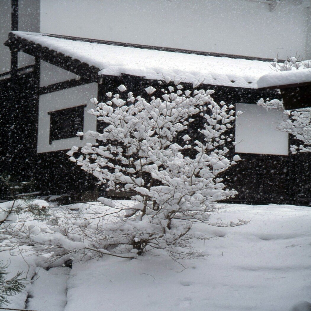 しめかざり探訪記［10］――岐阜県高山市しめかざりタイムスリップin飛騨