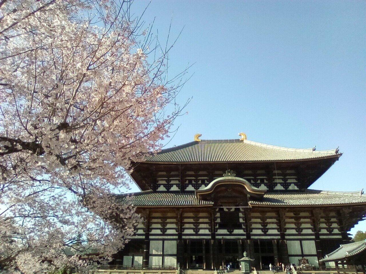 東大寺要録 | 佛教大学図書館デジタルコレクション