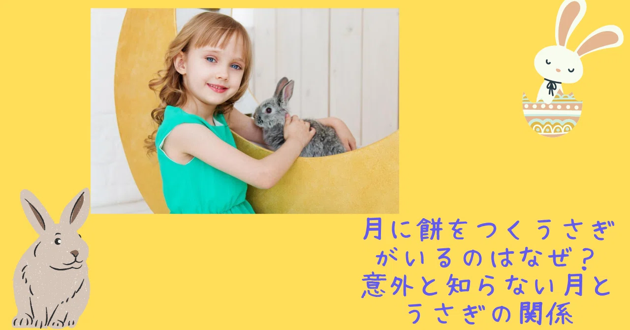 月に餅をつくうさぎがいるのはなぜ？意外と知らない月とうさぎの関係