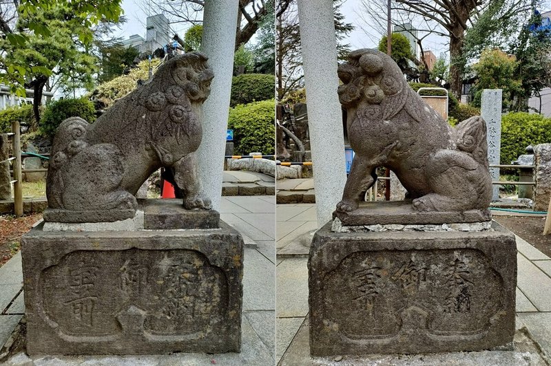 鳩森八幡神社富士塚前狛犬結合１