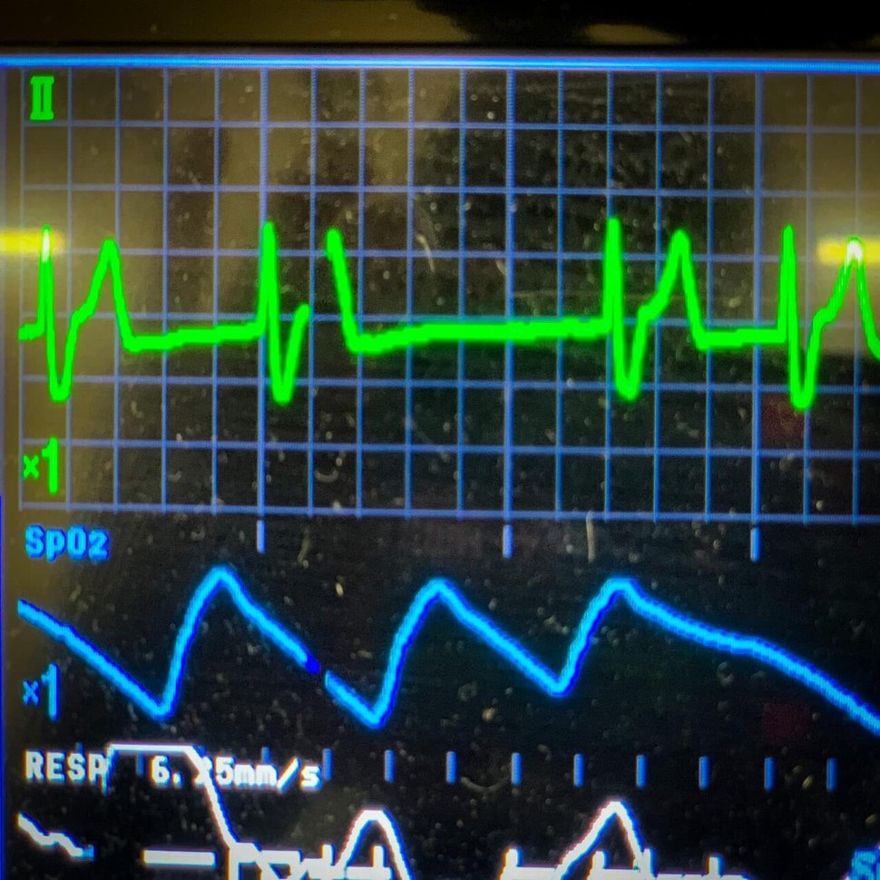 写真で育む つなぐ 仲間と哲学 あなたも写真リレーに参加してみませんか 鈴木心の写真学校