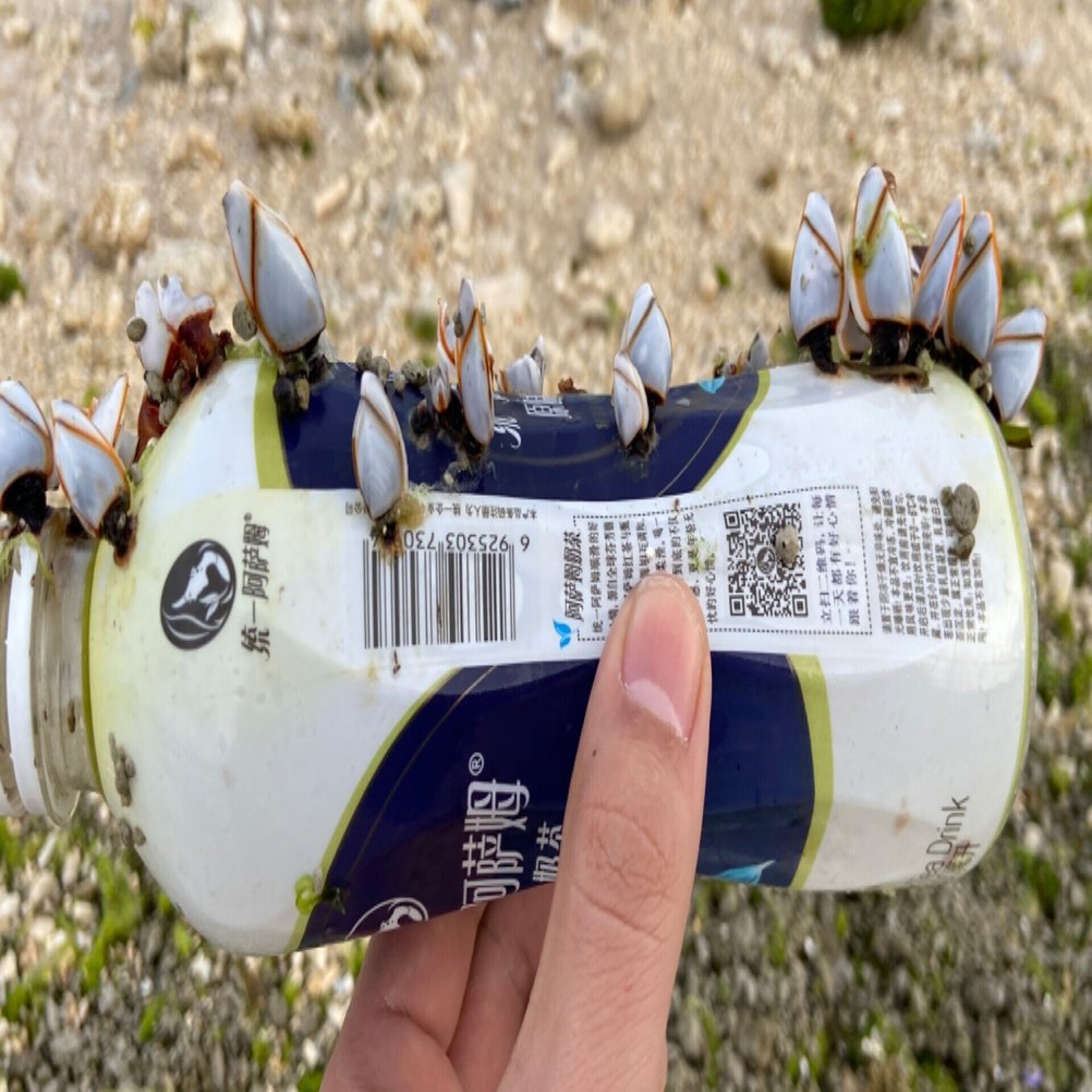 石垣島 釣り失敗 からのマジックマッシュルーム ふーやん Note