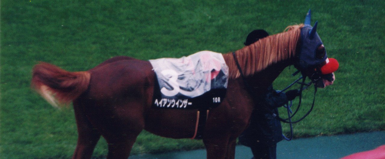 2025年最新】有馬記念 イヤーマフの人気アイテム - メルカリ