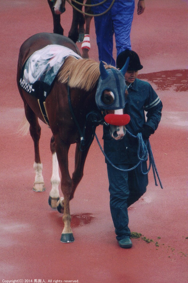 尾花栗毛 ALBUM Vol.14｜馬画人 (まがじん)