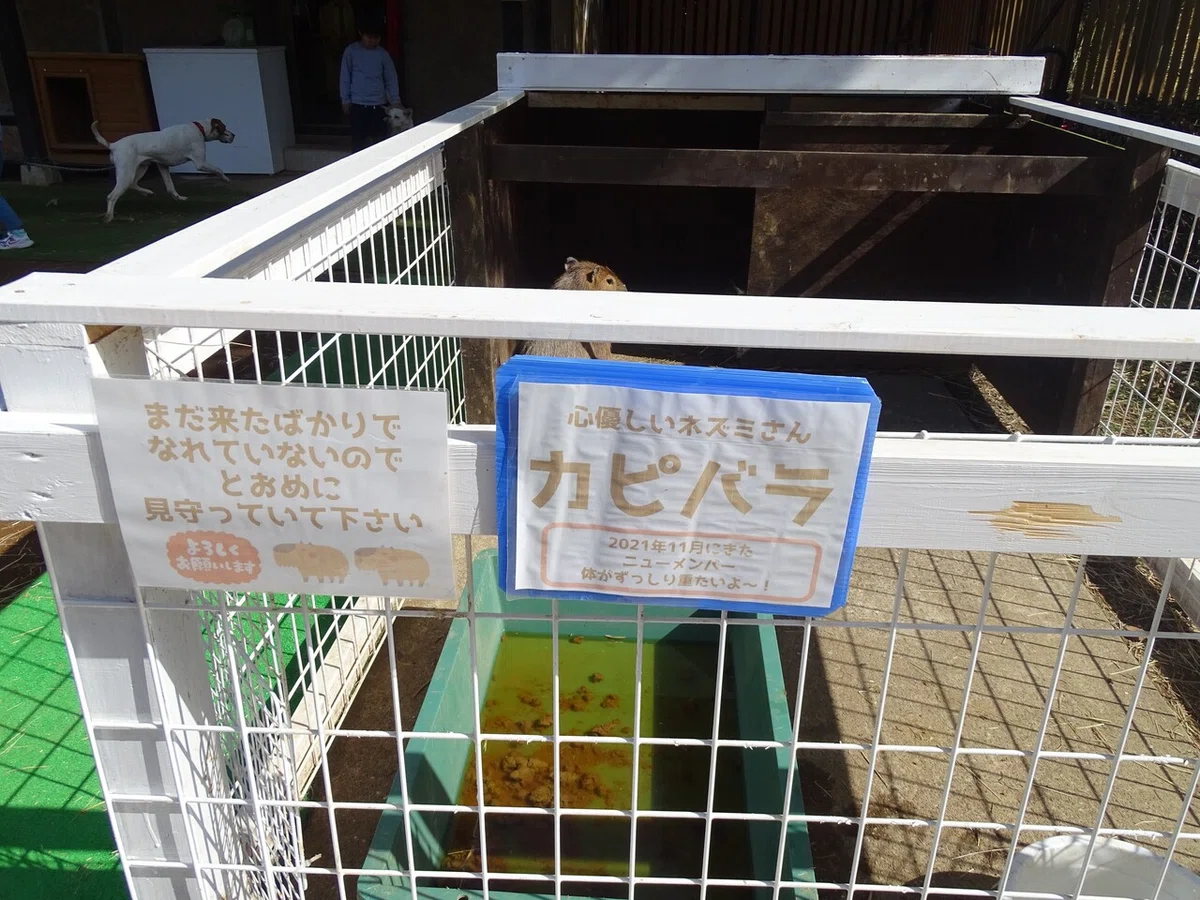 画像16