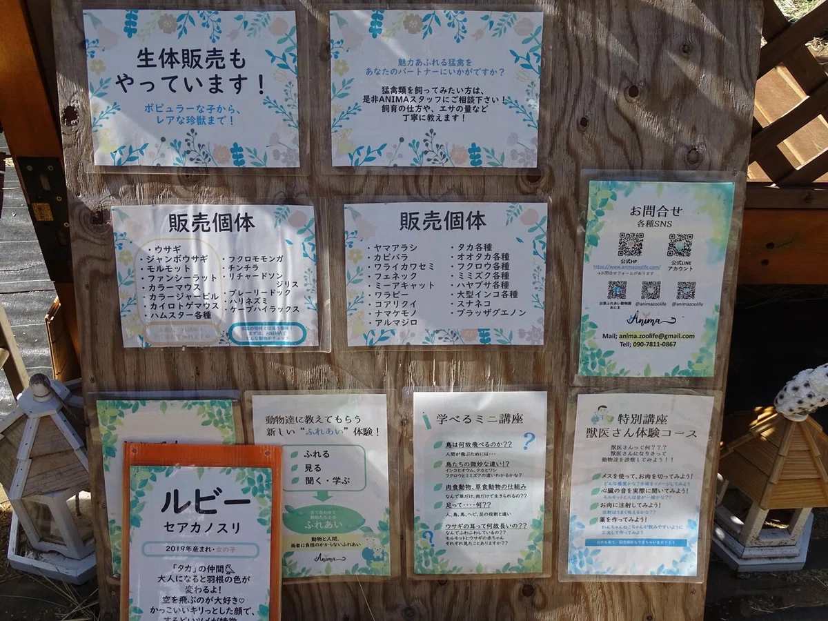 画像49