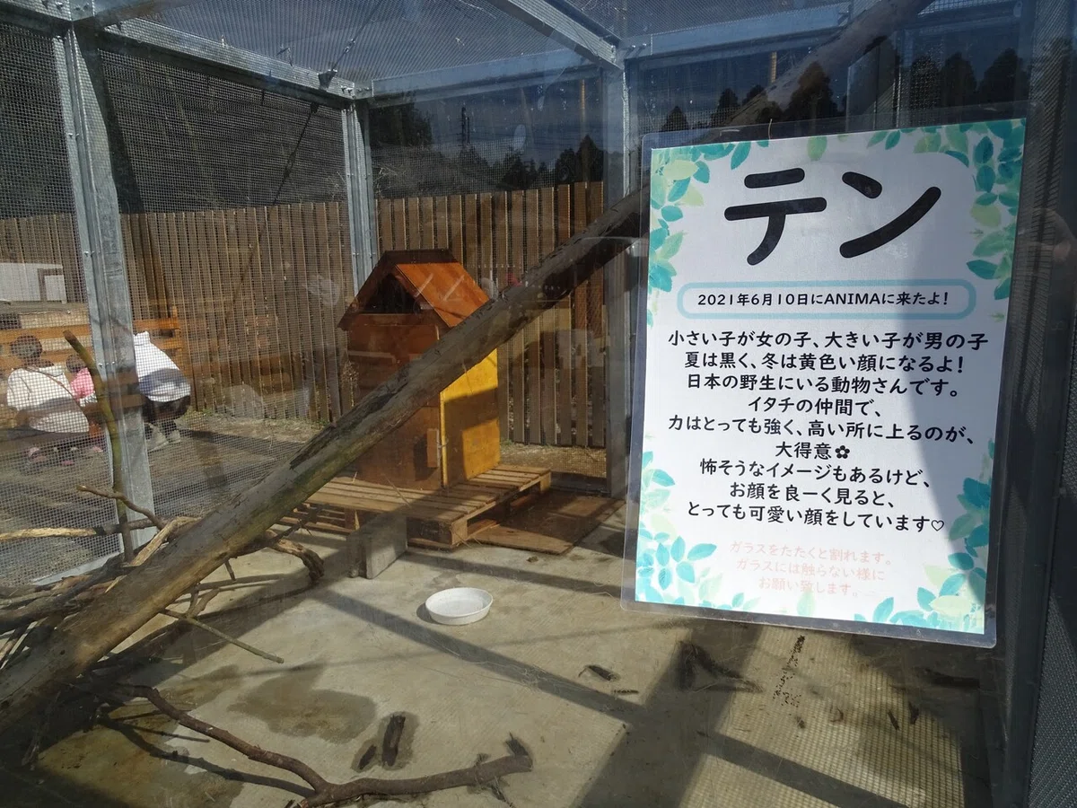 画像25