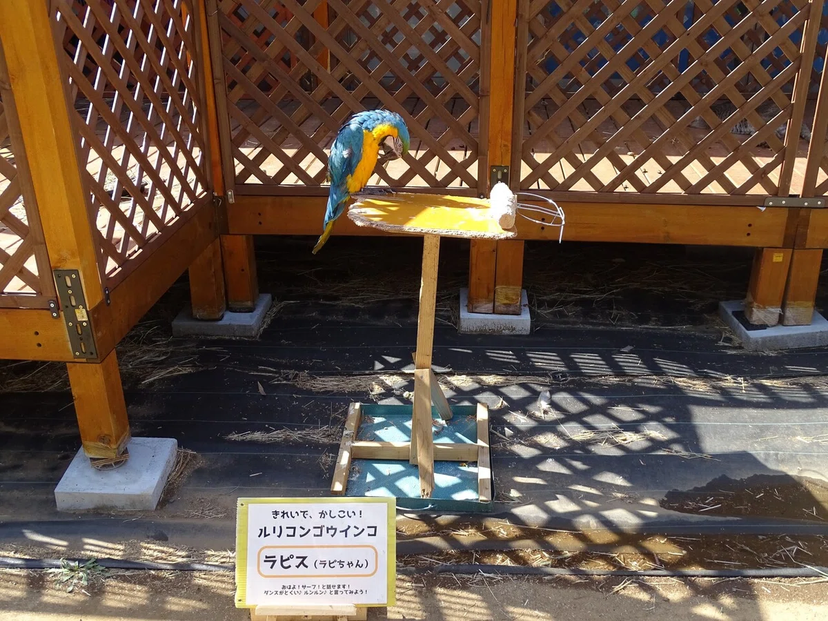画像48