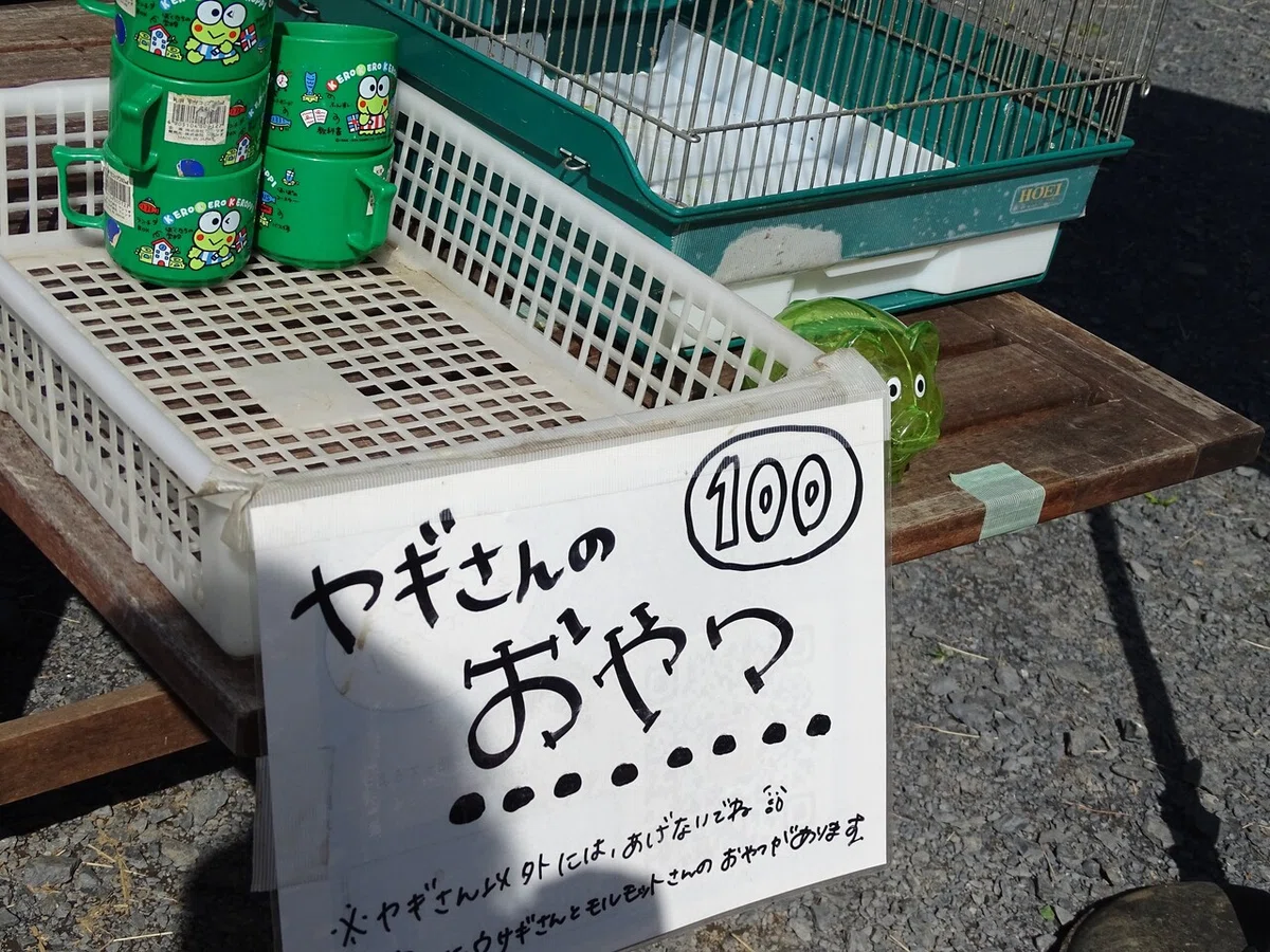 画像44