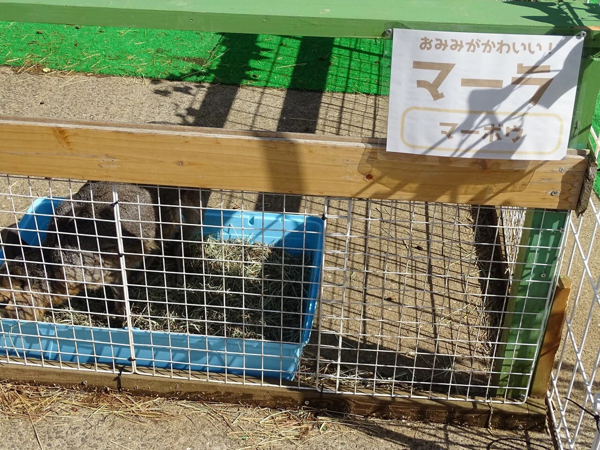 画像47