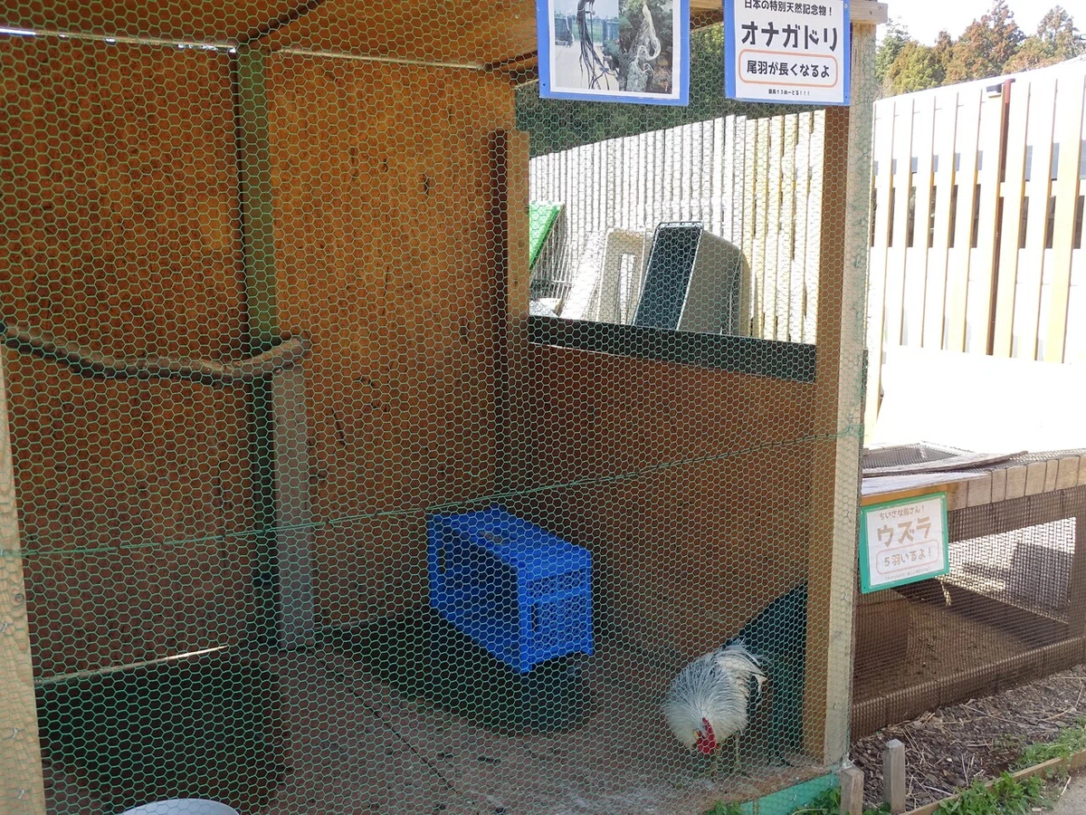画像34