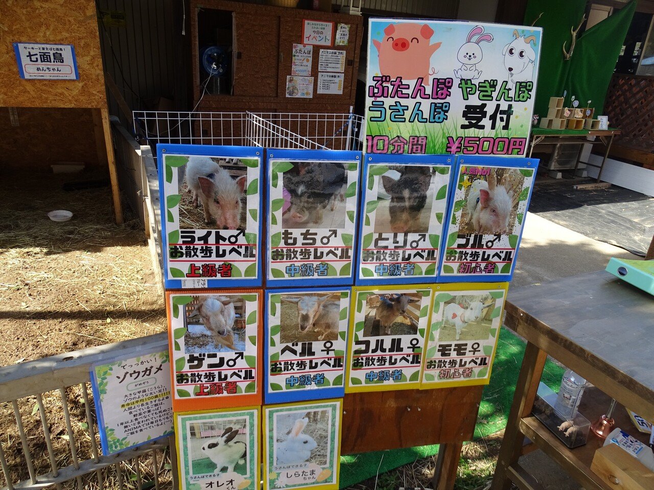 ZASO:101】茨城県 #出張ふれあい動物園ANIMA｜ZASOちゃんねる