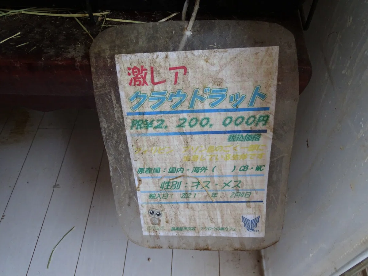 画像62