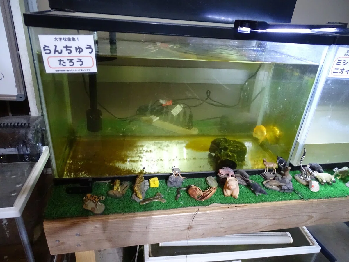 画像86