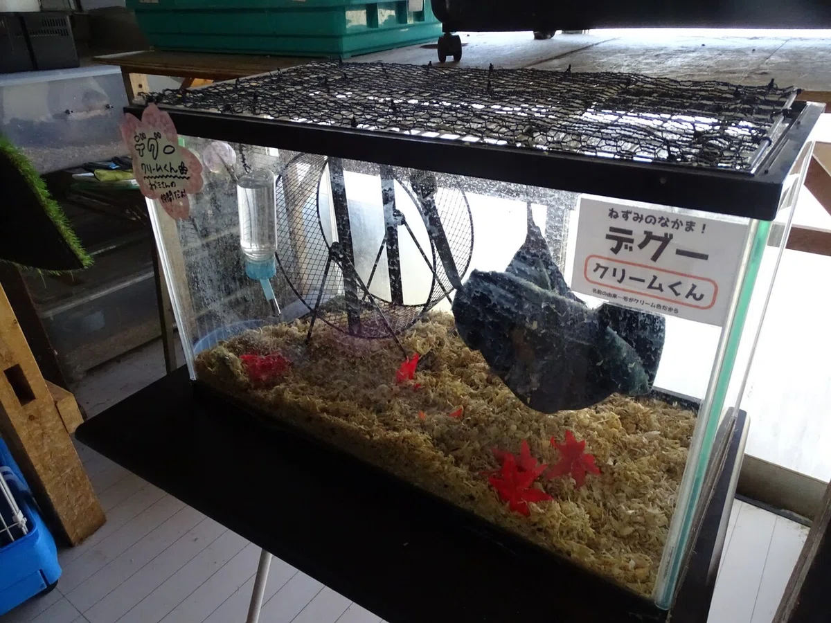 画像73