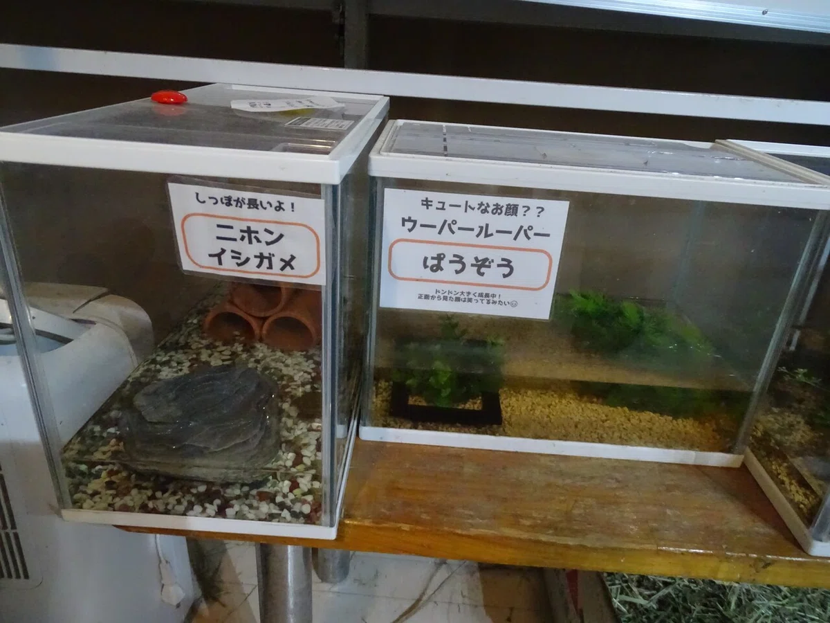 画像83