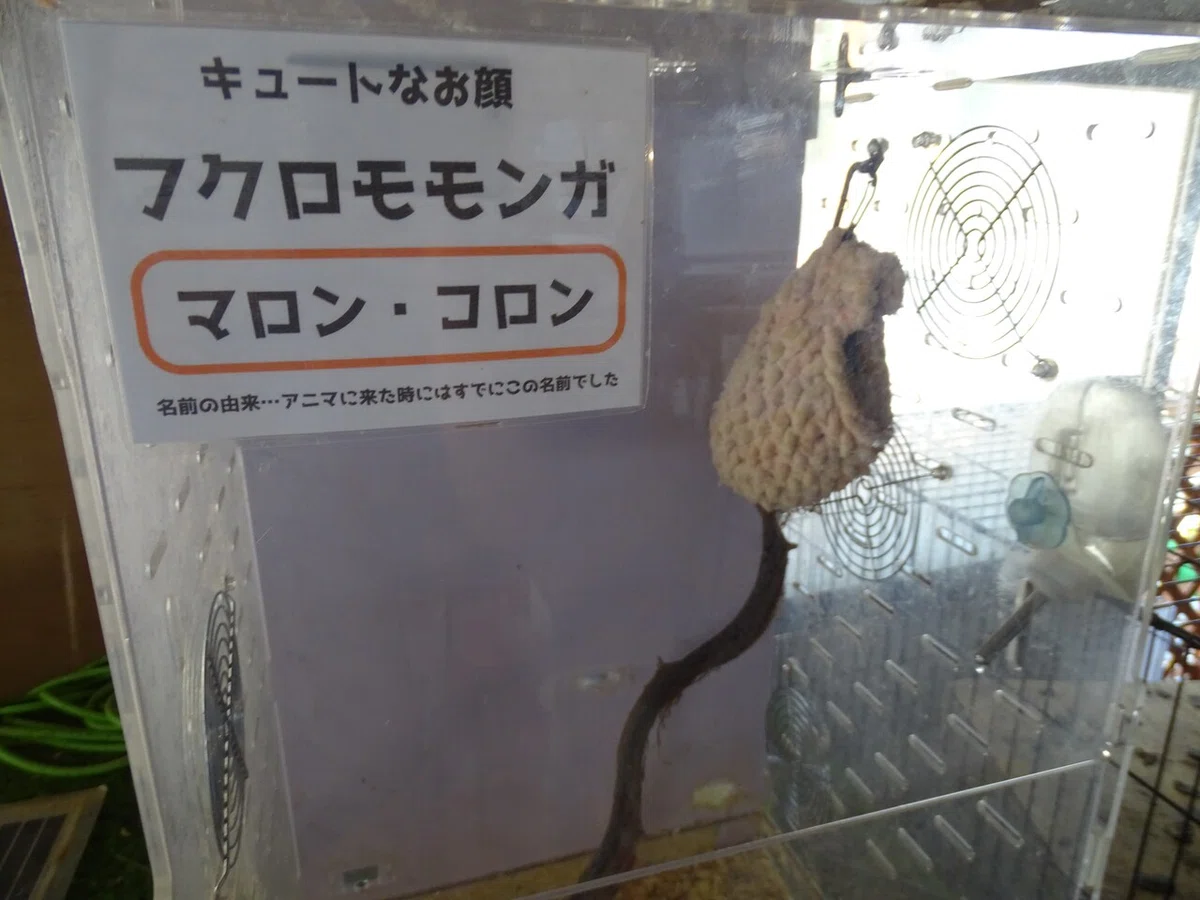 画像65