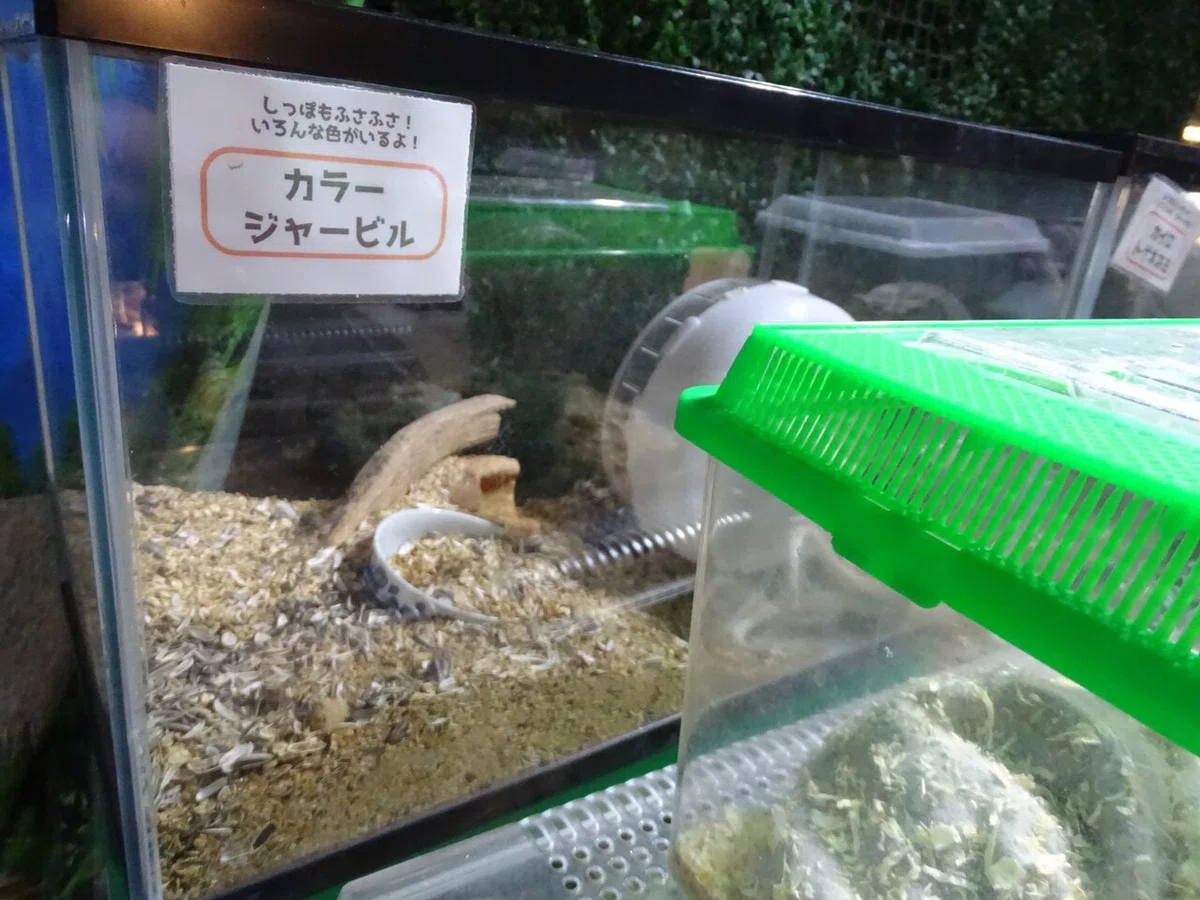 画像90