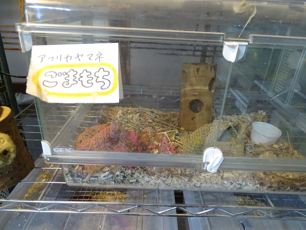 画像82