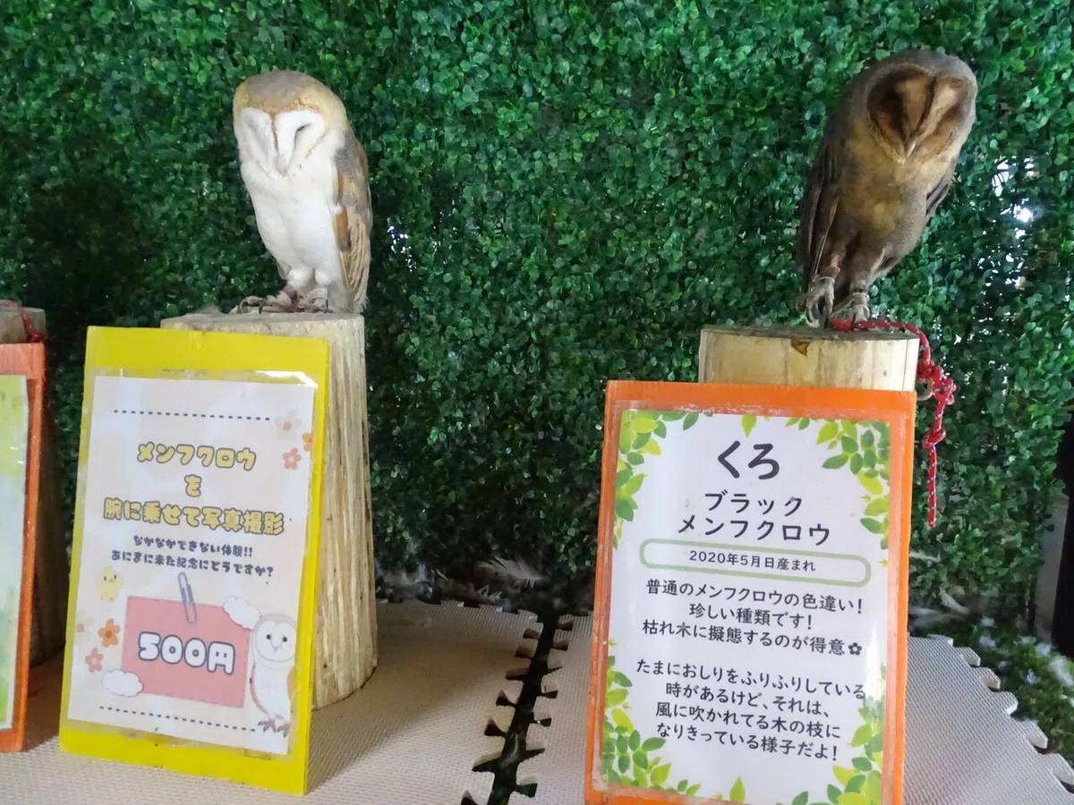 画像76