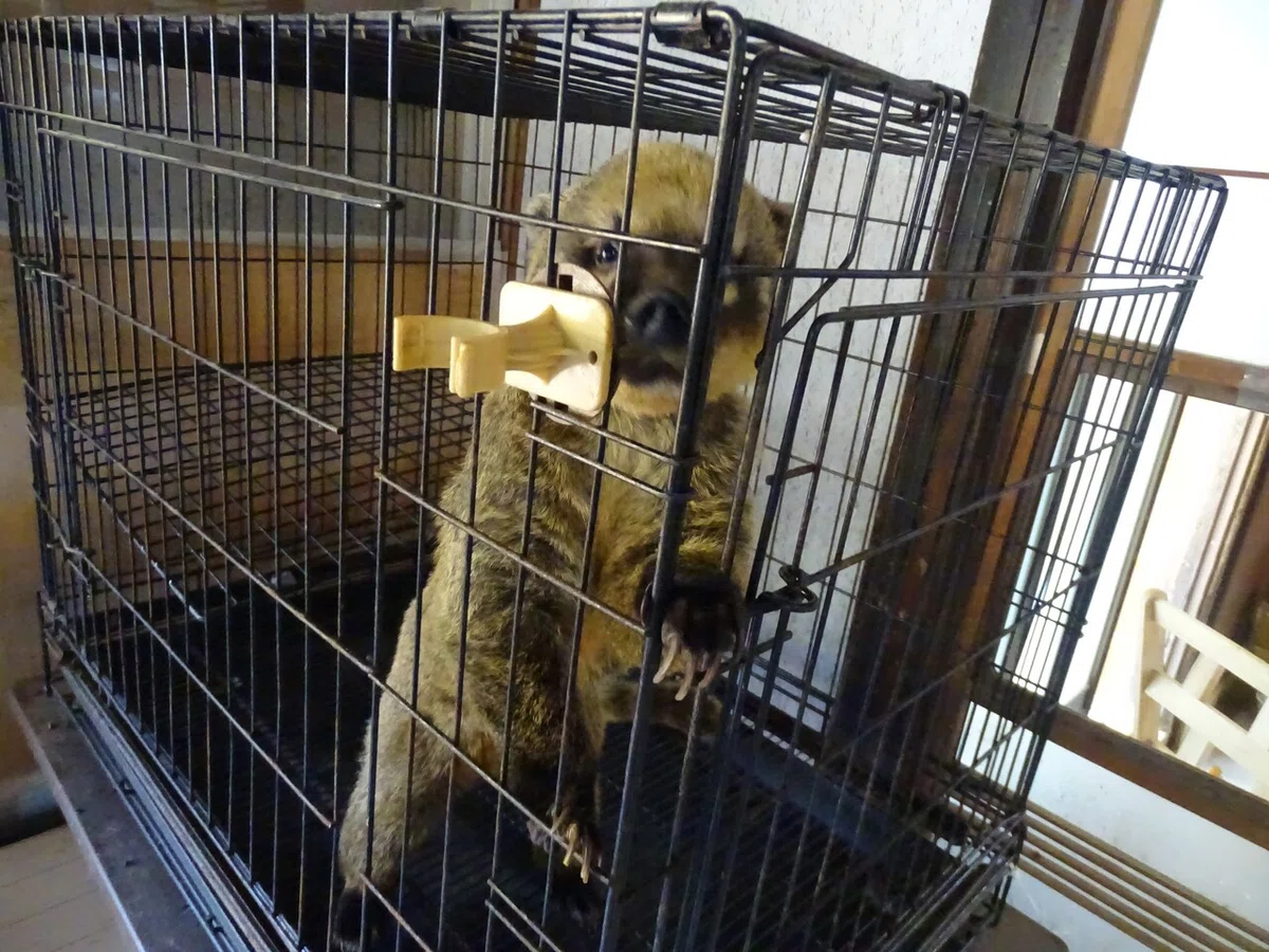 画像58