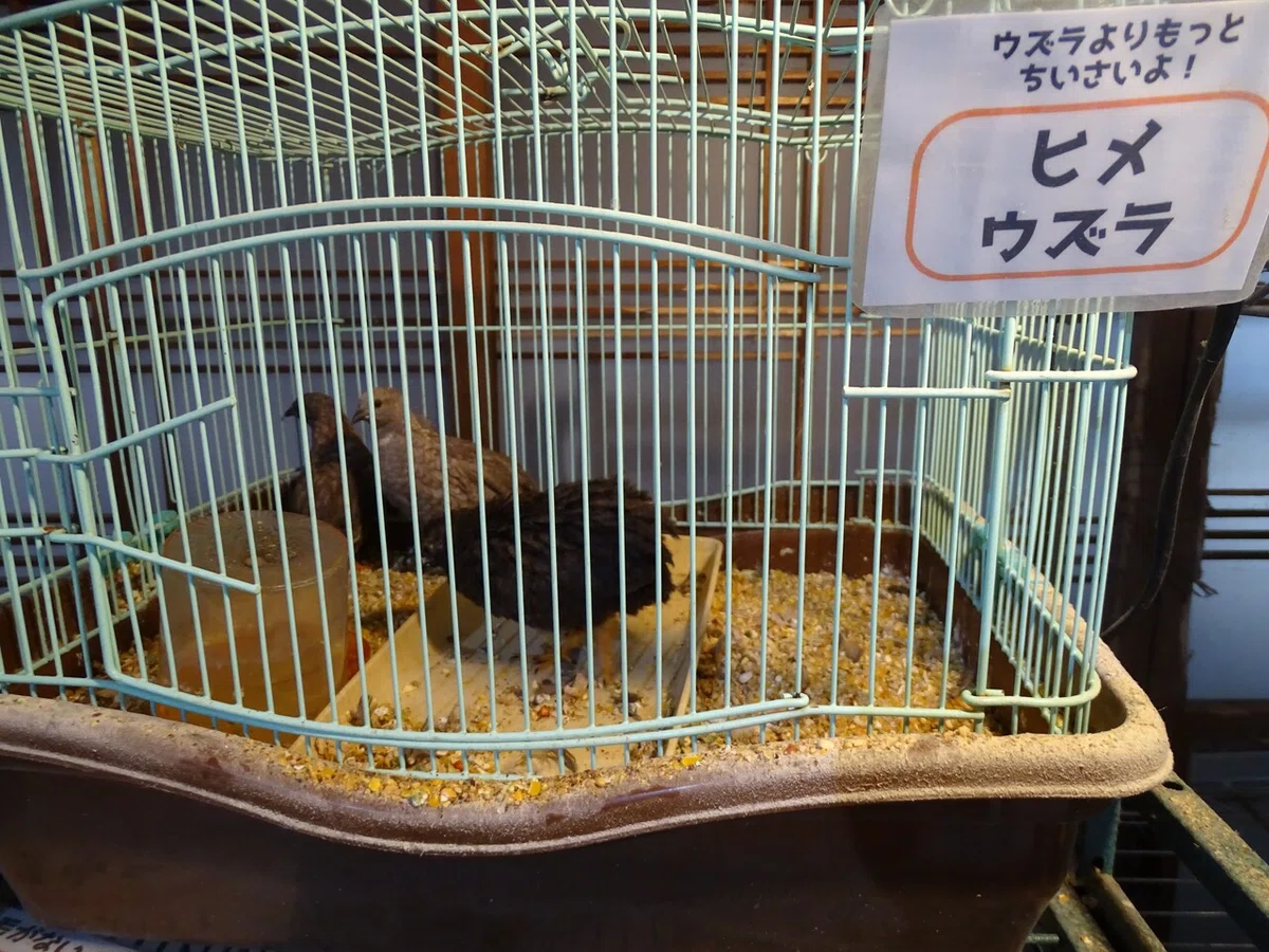 画像80