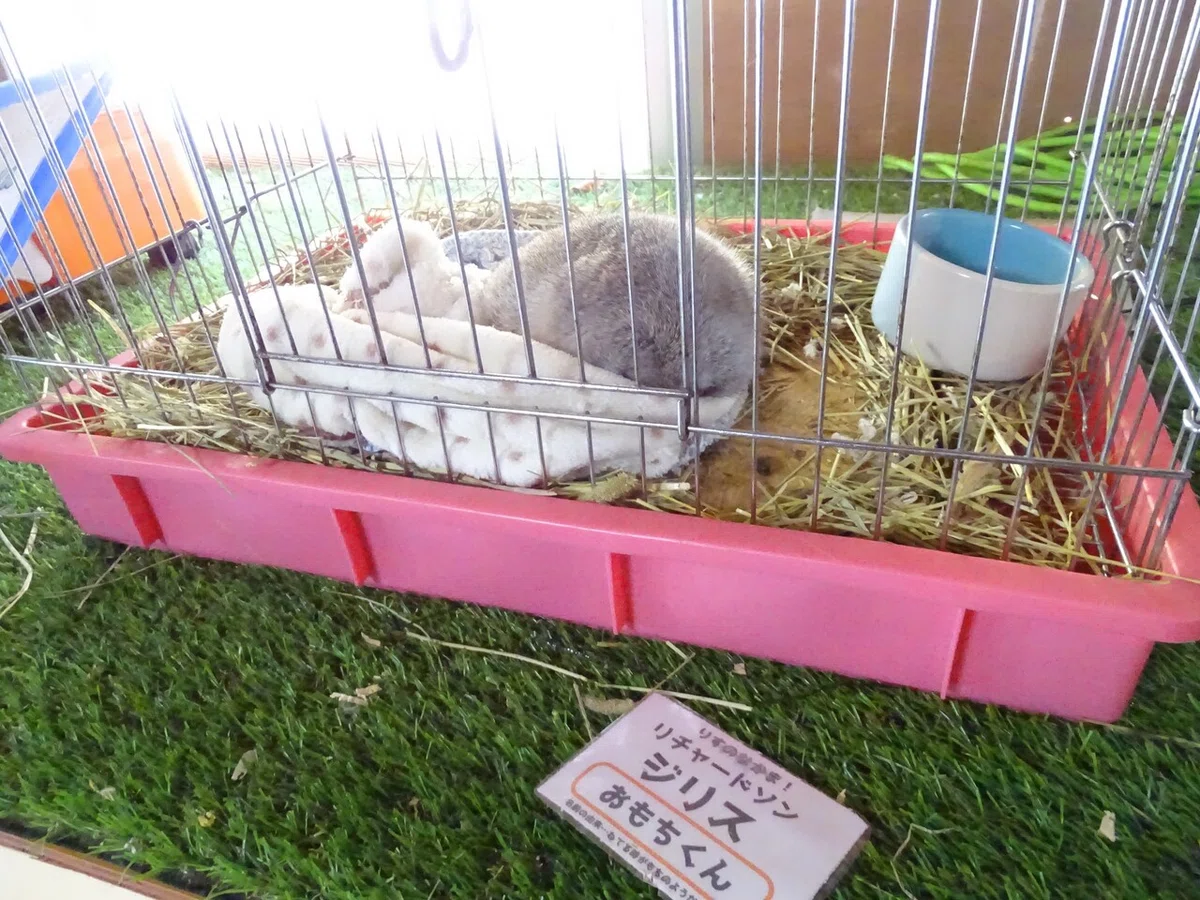 画像66