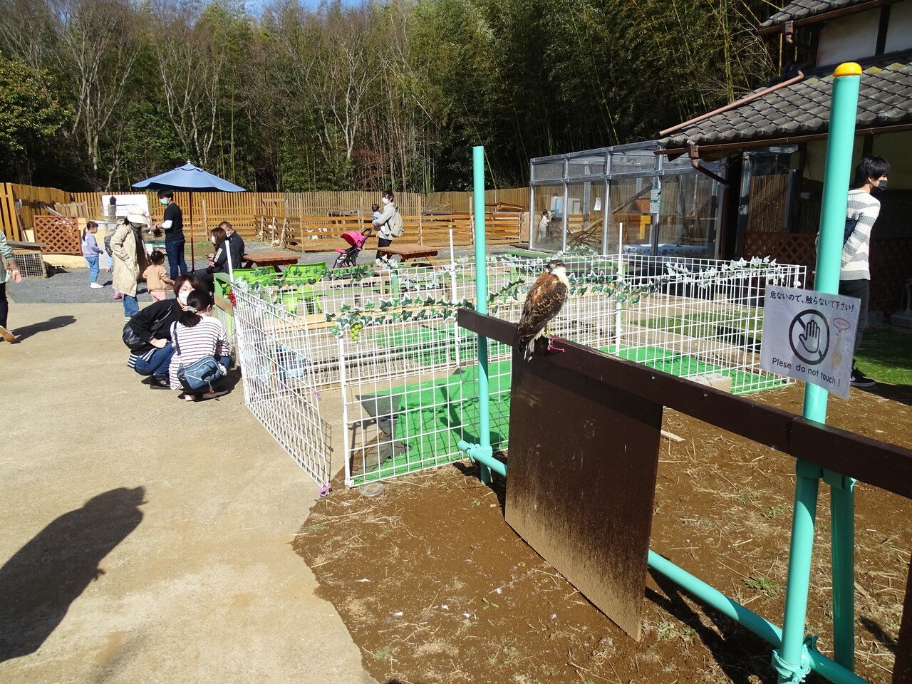 ZASO:101】茨城県 #出張ふれあい動物園ANIMA｜ZASOちゃんねる