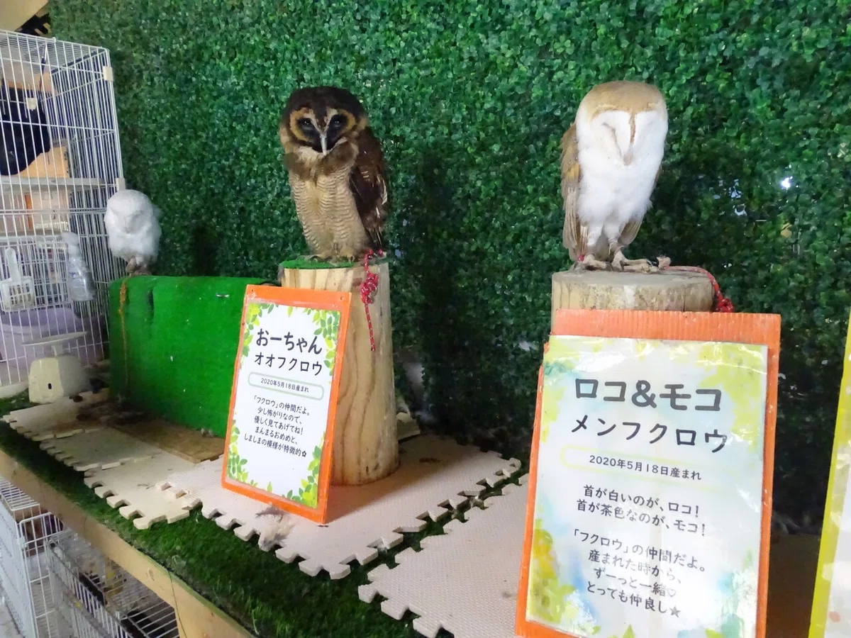 画像77