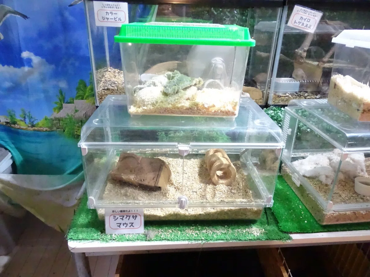 画像89