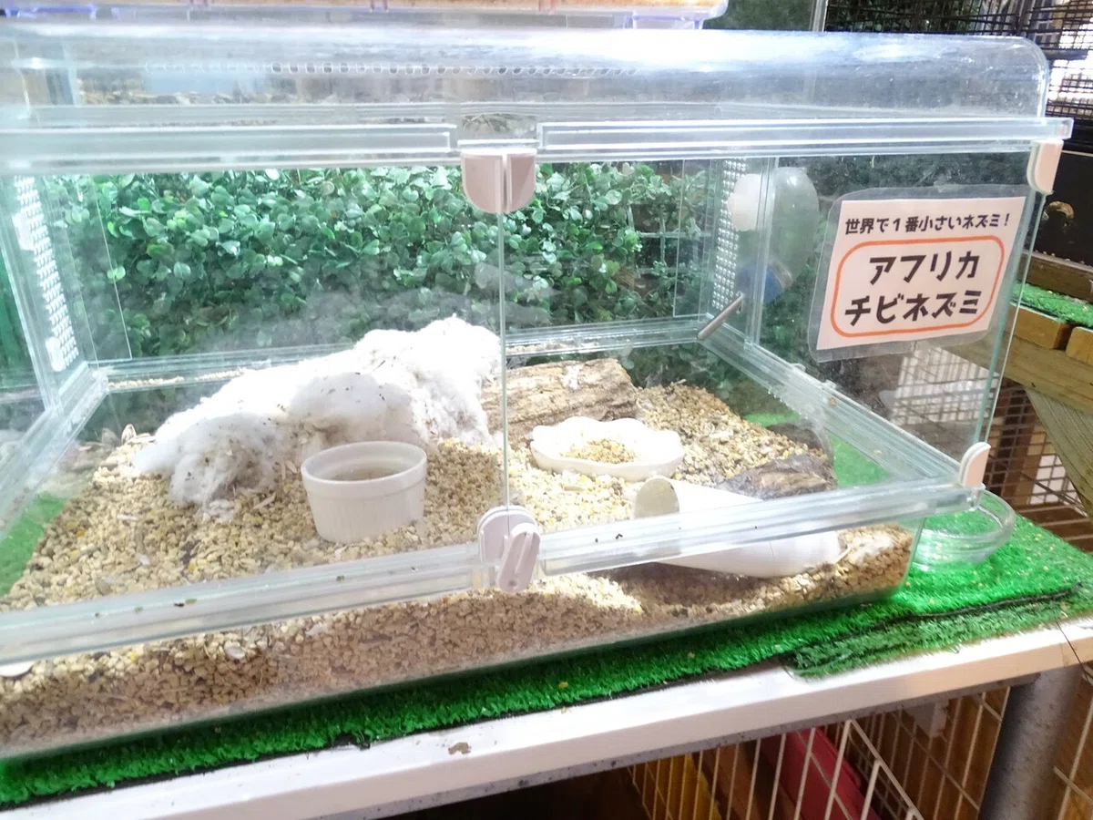 画像92