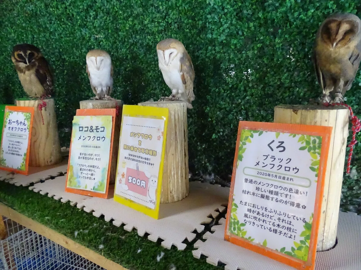 画像75