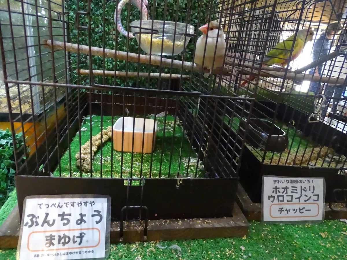 画像93