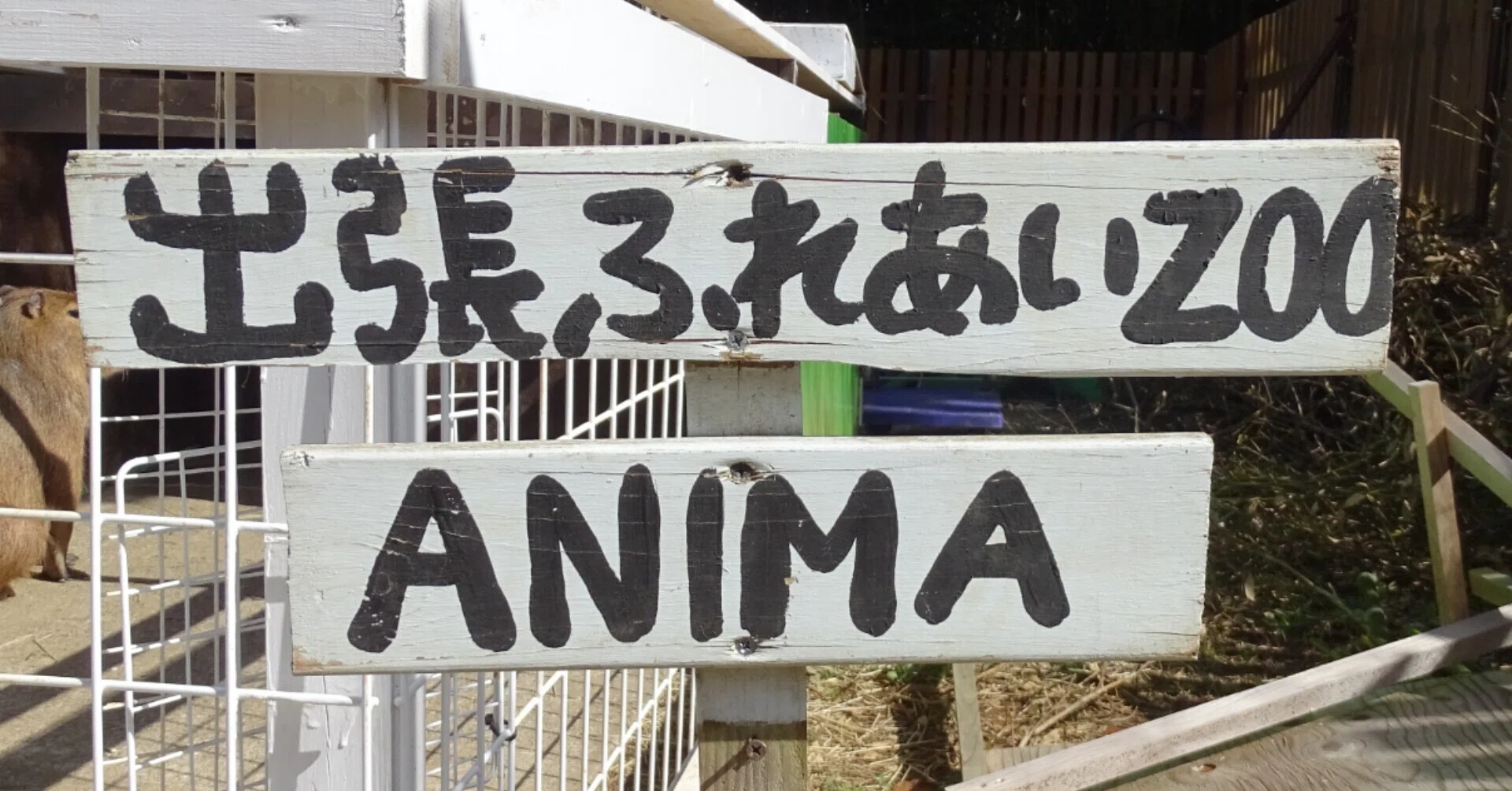 出張ふれあい動物園 ZASO:101】茨城県 #出張ふれあい動物園ANIMA｜ZASOちゃんねる