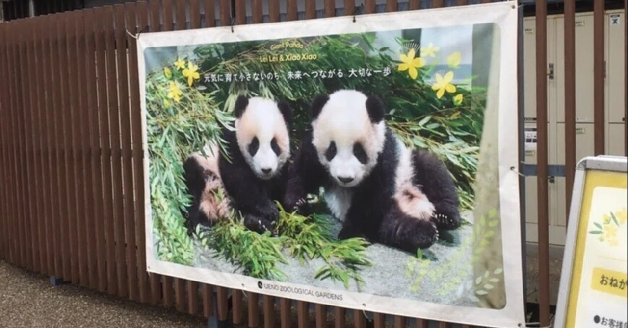 久々の上野動物園。動物たちはどんなことを考えているのだろうか 